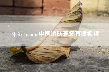 海口中国消防现场直播视频