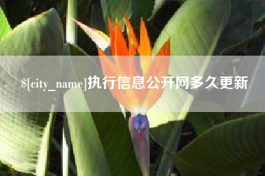 海口执行信息公开网多久更新