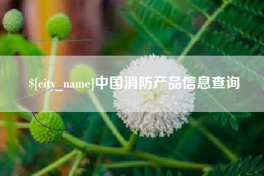 海口中国消防产品信息查询