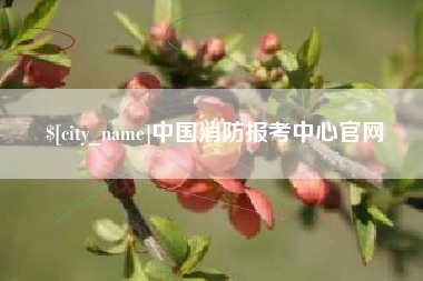 海口中国消防报考中心官网
