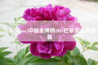 海口中国金牌榜2024巴黎奥运会最新