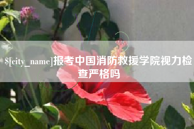 海口报考中国消防救援学院视力检查严格吗