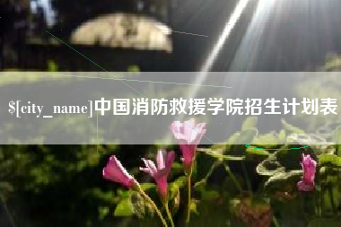 海口中国消防救援学院招生计划表