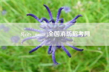 海口全国消防招考网
