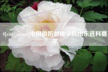 海口中国消防救援学院山东选科要求