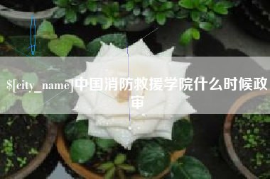 海口中国消防救援学院什么时候政审