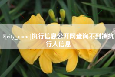 海口执行信息公开网查询不到被执行人信息