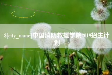 海口中国消防救援学院2019招生计划
