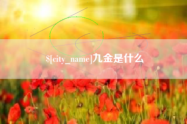 海口九金是什么