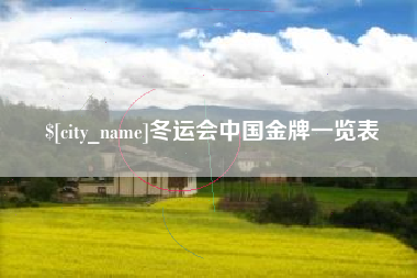 海口冬运会中国金牌一览表