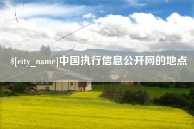 海口中国执行信息公开网的地点