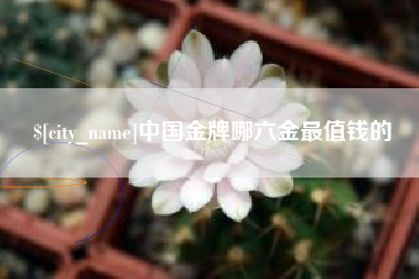 海口中国金牌哪六金最值钱的