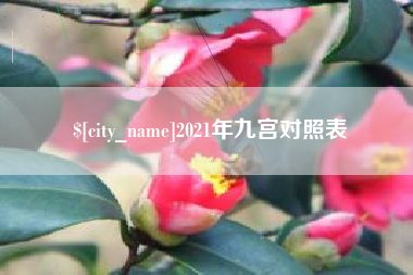 海口2021年九宫对照表