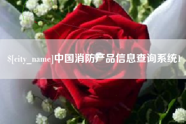 海口中国消防产品信息查询系统1