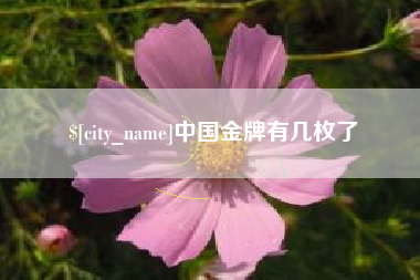 海口中国金牌有几枚了