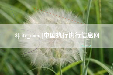 海口中国执行执行信息网