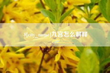 海口九宫怎么解释