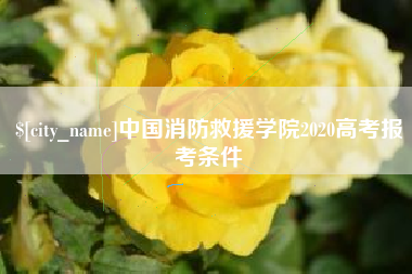 海口中国消防救援学院2020高考报考条件