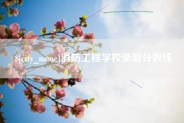 海口消防工程学校录取分数线