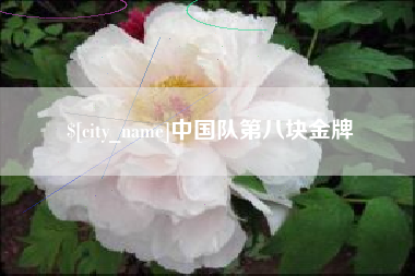 海口中国队第八块金牌
