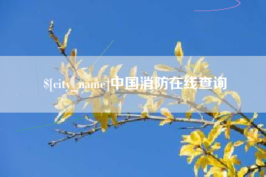 海口中国消防在线查询