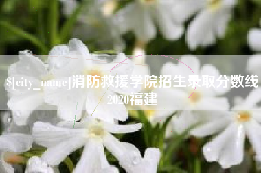 海口消防救援学院招生录取分数线2020福建