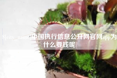 海口中国执行信息公开网官网app为什么要钱呢