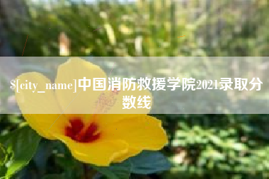 海口中国消防救援学院2021录取分数线