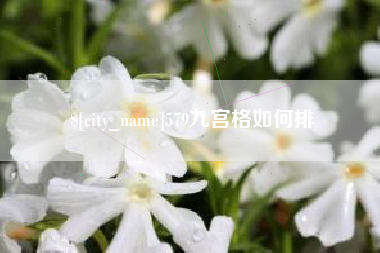 海口579九宫格如何排