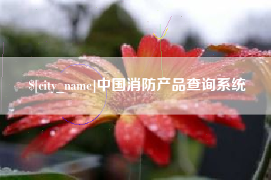 海口中国消防产品查询系统
