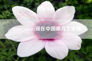 海口现在中国哪几个金牌