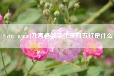 海口九宫格数字代表的五行是什么