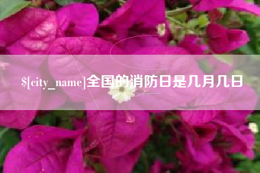 海口全国的消防日是几月几日