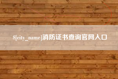 海口消防证书查询官网入口