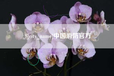 海口中国消防官方