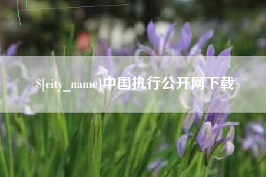 海口中国执行公开网下载