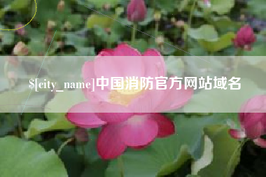 海口中国消防官方网站域名