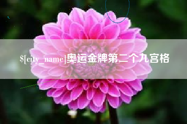 海口奥运金牌第二个九宫格