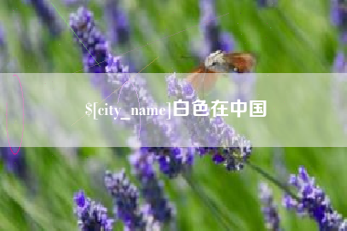 海口白色在中国