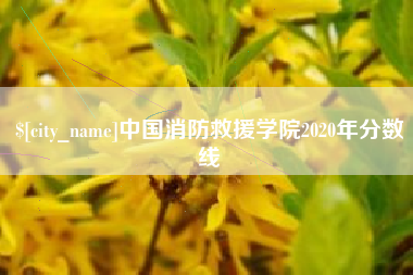 海口中国消防救援学院2020年分数线