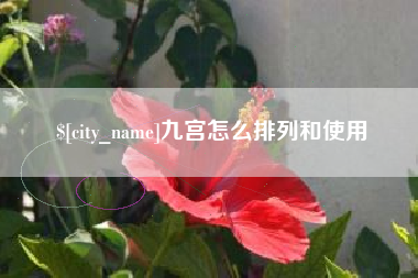 海口九宫怎么排列和使用