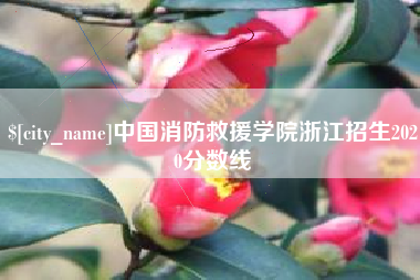 海口中国消防救援学院浙江招生2020分数线