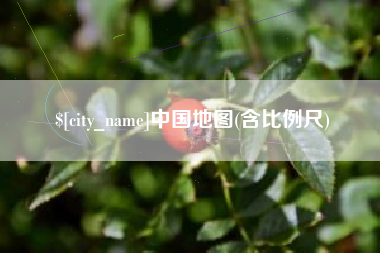 海口中国地图(含比例尺)