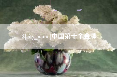 海口中国第十个金牌
