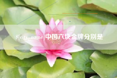 海口中国六块金牌分别是