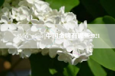 海口中国金牌有哪些2021