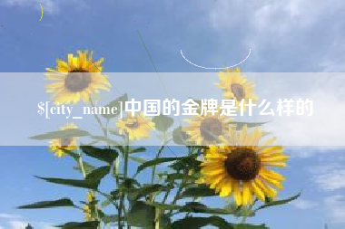 海口中国的金牌是什么样的