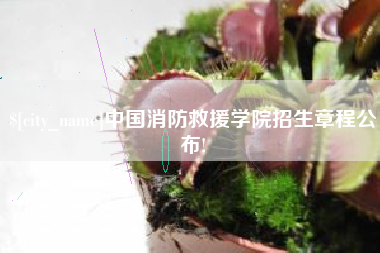 海口中国消防救援学院招生章程公布!