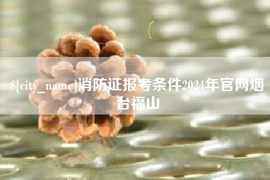 海口消防证报考条件2024年官网烟台福山