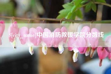 海口中国消防救援学院分数线